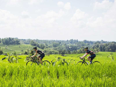 Bali ATV & Cycling Tour