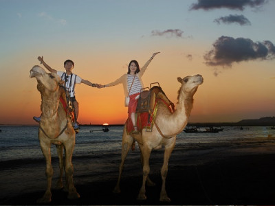 Sunset Camel Ride