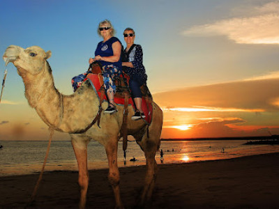 Sunset Camel Ride