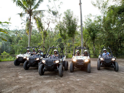 Jungle Buggies