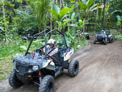 Jungle Buggies