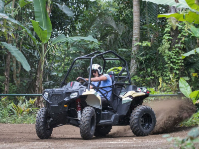 Jungle Buggies