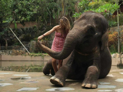 Lombok Wildlife Park Admission Ticket | Interactive Animal Encounters & Family Fun